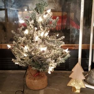 Lighted Christmas tree